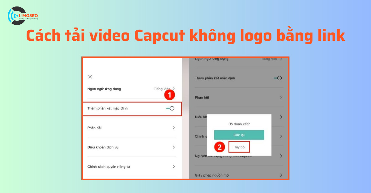 tải video capcut không logo bằng link - reference image