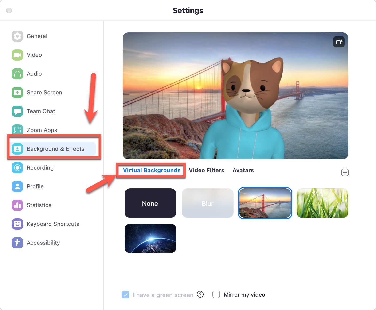 cách đổi hình nền trên zoom - reference image