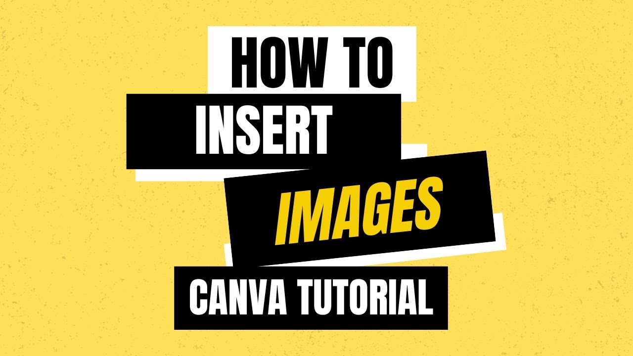 cách chèn ảnh vào canva trên điện thoại - reference image