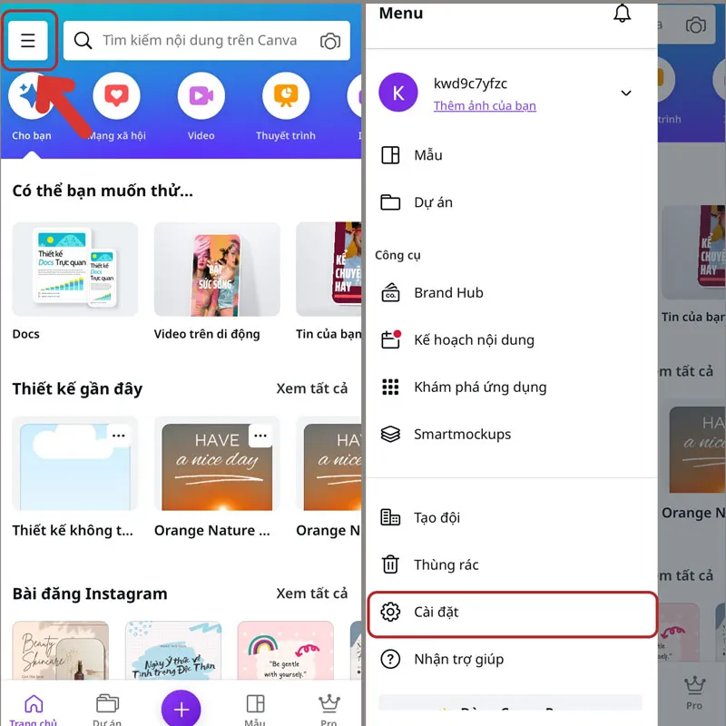 cách chèn video vào canva - reference image