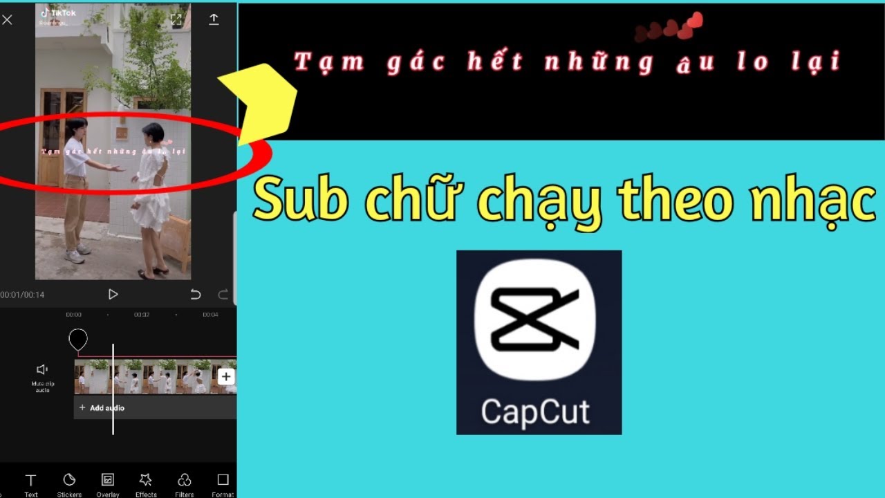 cách làm video giới thiệu thành viên trên capcut - reference image