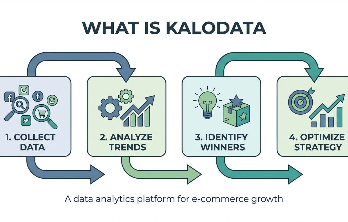 kalodata là gì - illustration 2