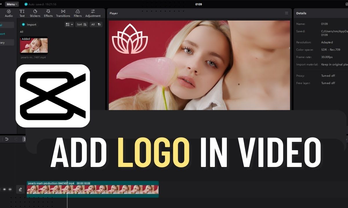 cách chèn logo vào video trên capcut - reference image