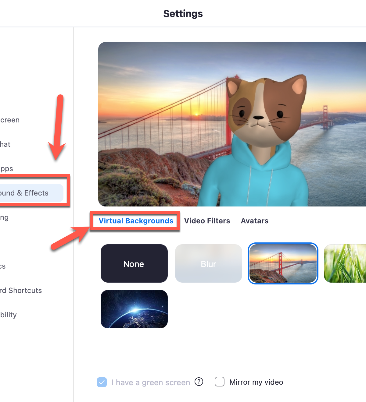cách đổi hình nền trên zoom - reference image