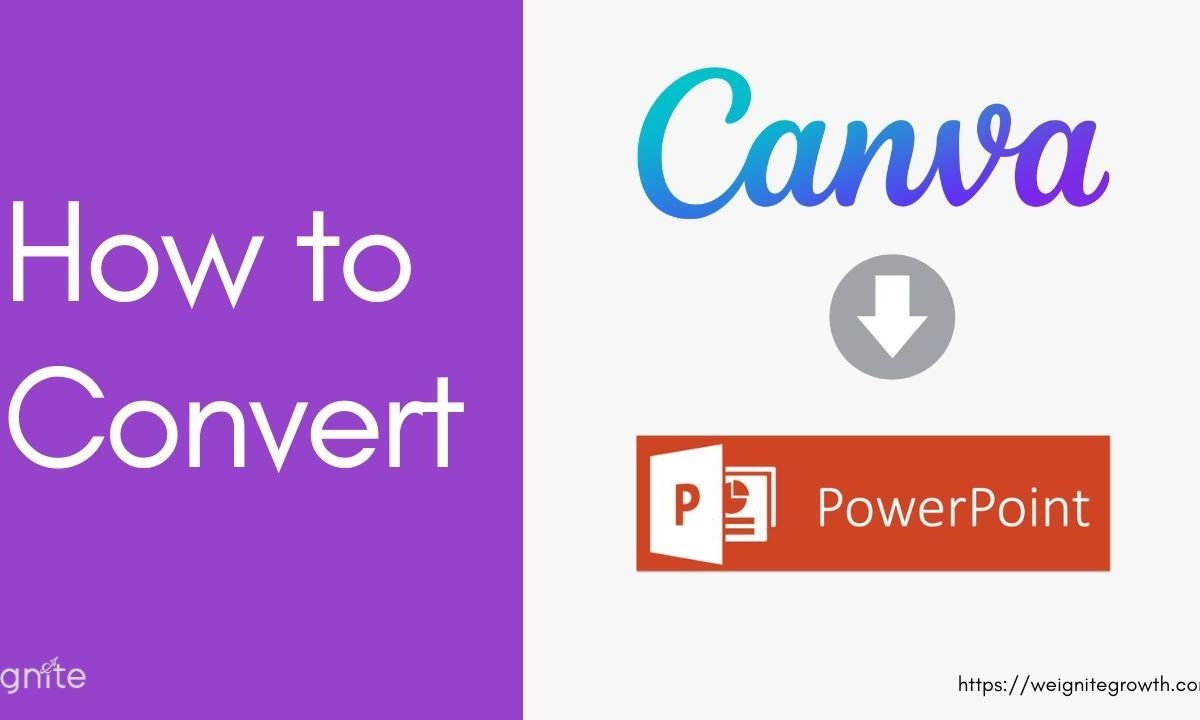 cách chuyển canva sang powerpoint - reference image