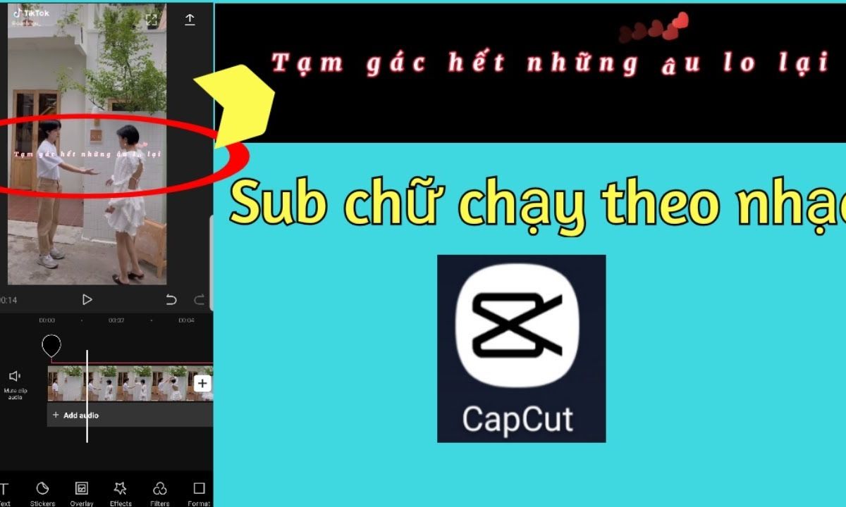 cách làm video giới thiệu thành viên trên capcut - reference image