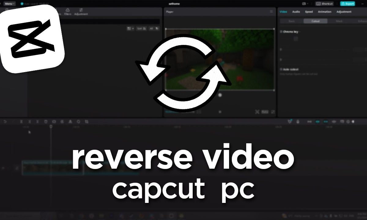 cách lật ngược video trên capcut - reference image