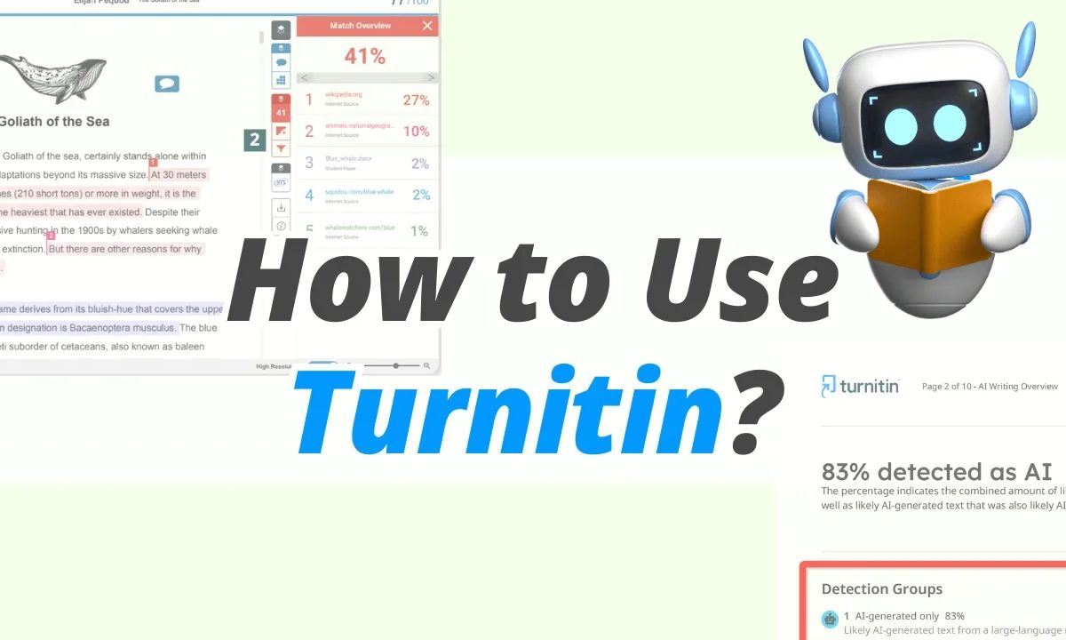 cách sử dụng turnitin - reference image