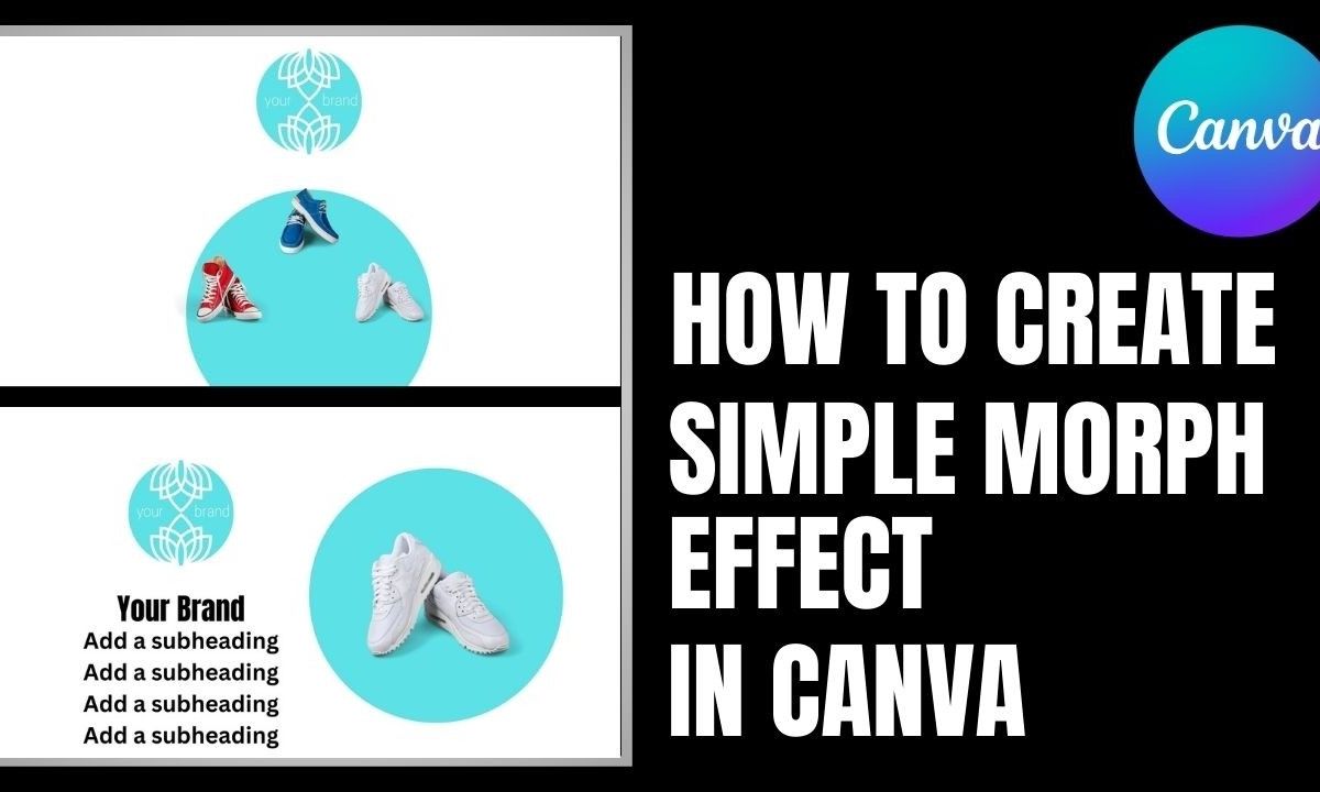 hiệu ứng morph trong canva - reference image