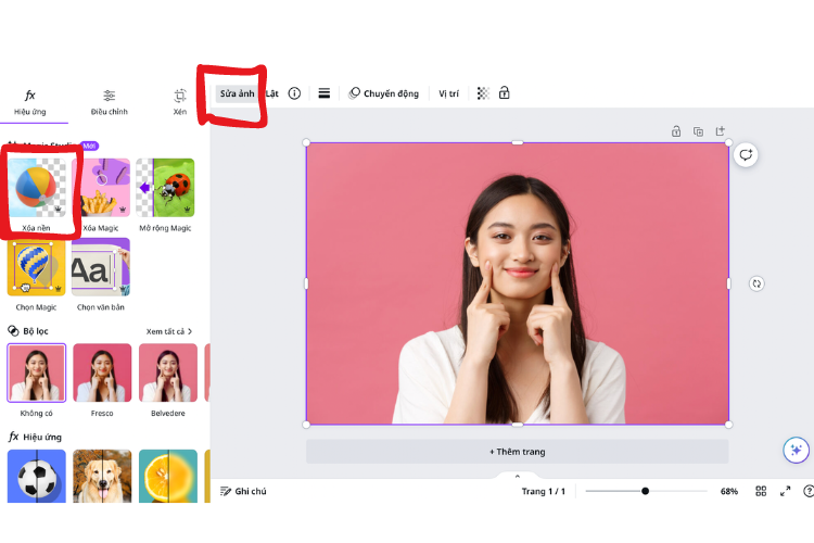 tách nền canva - reference image