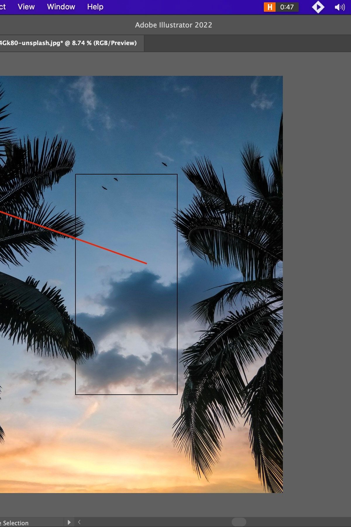 adobe illustrator để làm gì - reference image